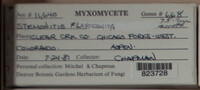 Image Associated With the Occurence